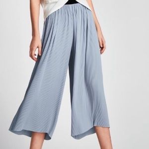 Zara Pants with Pleats